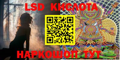 прущие крисы Малгобек