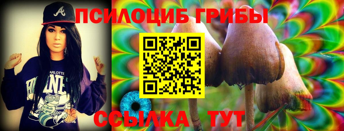 Галлюциногенные грибы мицелий  Вход с VPN  Якутск  Галлюциногенные грибы Magic Shrooms 